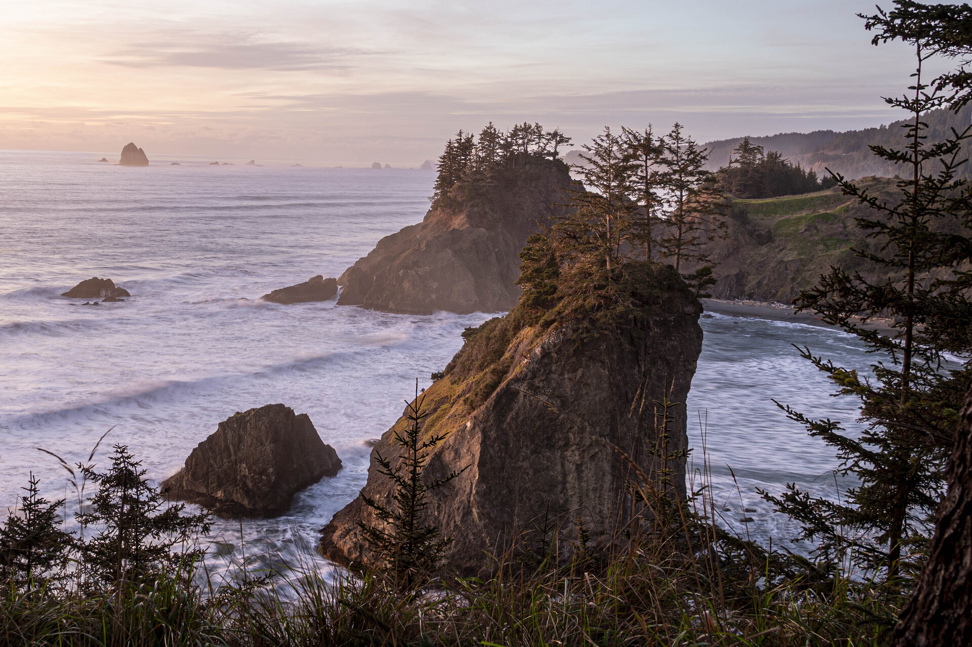 Oregon Coast